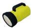 Reinforced Flashlight